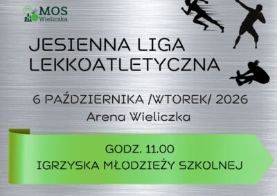 INDYWIDUALNA LIGA LEKKOATLETYCZNA IMS